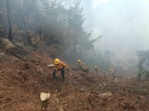 México se prepara para la temporada de incendios forestales 2026