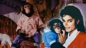¿Qué le pasó a Bubbles, el chimpancé al que Michael Jackson consideró ‘su primer hijo’?
