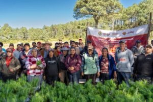Reforesta Sedema 3.5 hectáreas en el ejido Las Vigas con 3 mil 500 árboles